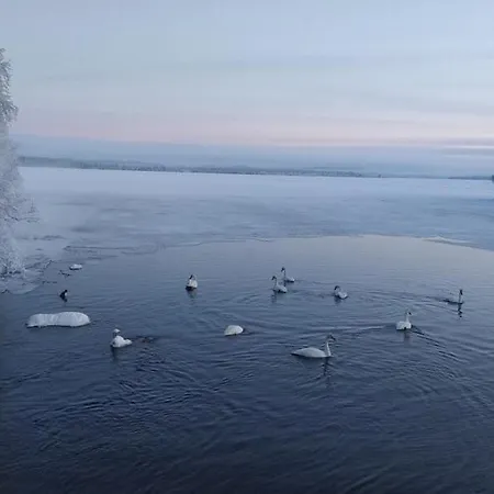 On Jeris Appartement *