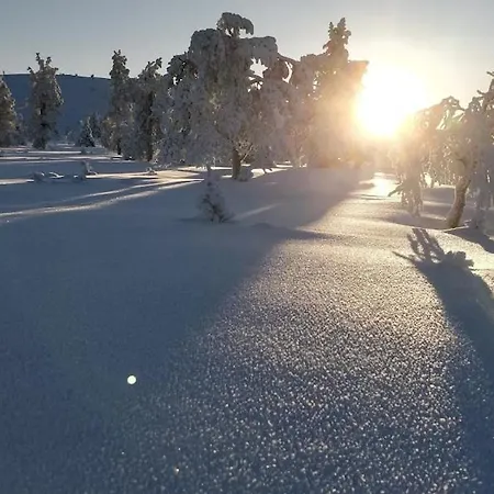 Appartement On Jeris *