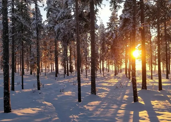 On Jeris Apartamento *