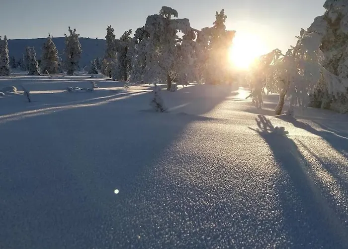 Apartamento On Jeris *